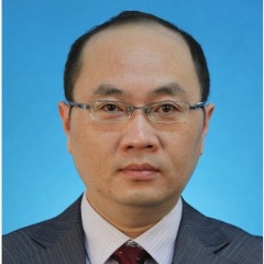 Prof. Wen Liu